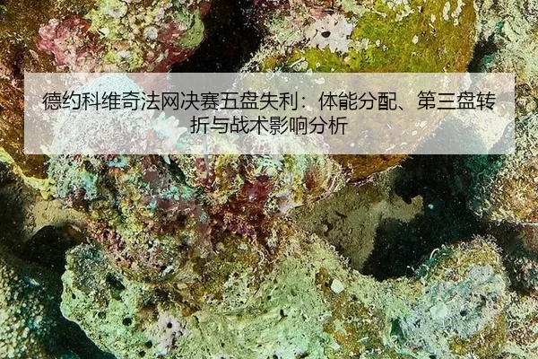 de-yue-ke-wei-qi-fa-wang-jue-sai-wu-pan-shi-li-ti-neng-fen-pei-di-san-pan-zhuan-zhe-yu-zhan-shu-ying-xiang-fen-xi-2-747.jpg